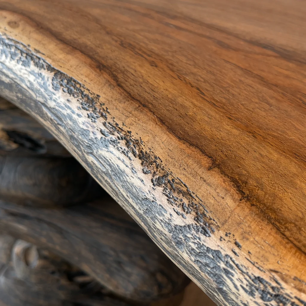 Rochefort 48" Solid Teak Root Console - Natural and Ebonized Black - Image 4